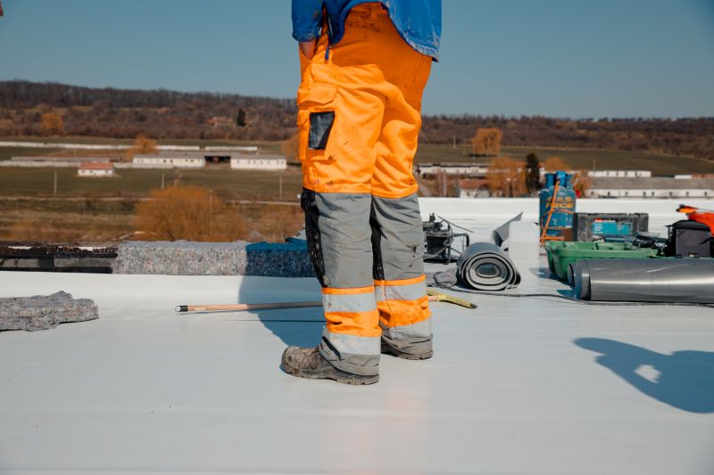 Tpo Roof Coating Service detail